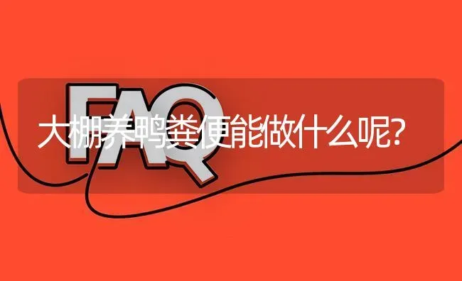 大棚养鸭粪便能做什么呢? | 养殖问题解答