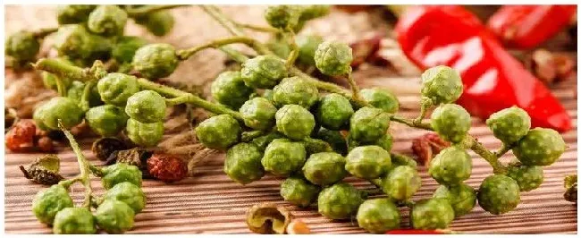 无刺花椒几年可以挂果 | 农业问题