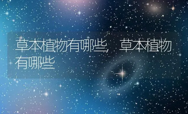 草本植物有哪些,草本植物有哪些 | 养殖常见问题