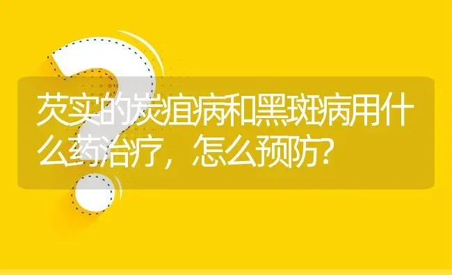 芡实的炭疽病和黑斑病用什么药治疗,怎么预防? | 养殖问题解答