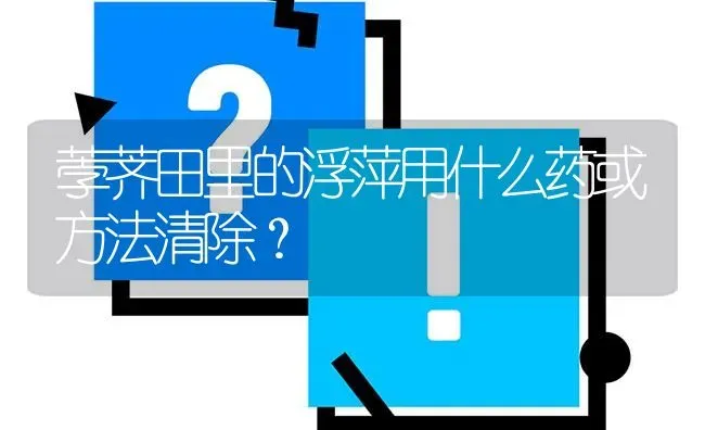 荸荠田里的浮萍用什么药或方法清除? | 养殖问题解答