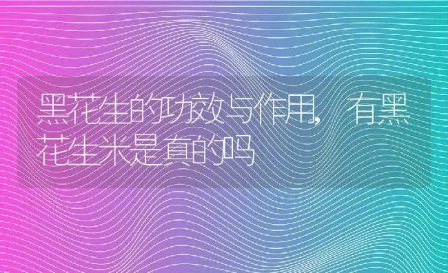 黑花生的功效与作用,有黑花生米是真的吗 | 养殖常见问题