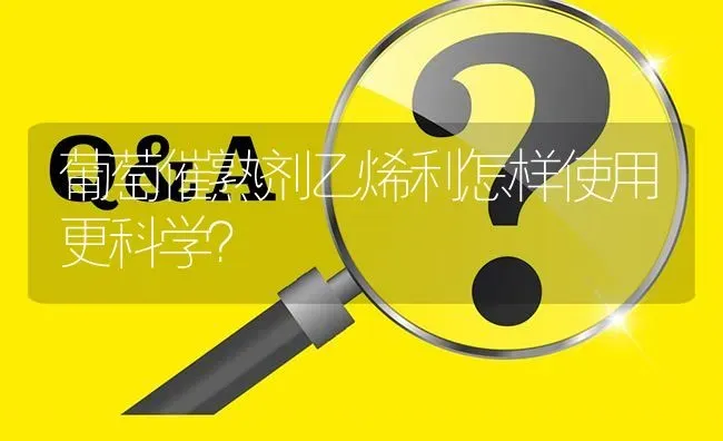 葡萄催熟剂乙烯利怎样使用更科学? | 养殖问题解答