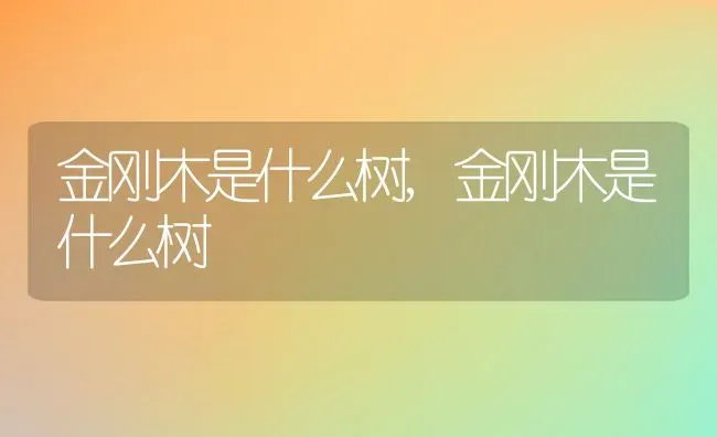 金刚木是什么树,金刚木是什么树 | 养殖常见问题