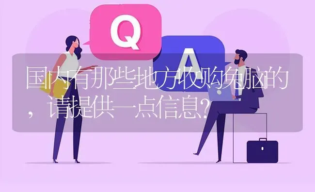 国内有那些地方收购兔脑的,请提供一点信息? | 养殖问题解答