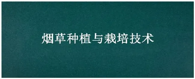 烟草种植与栽培技术 | 科普知识