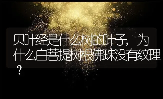 贝叶经是什么树的叶子,为什么白菩提树根佛珠没有纹理？ | 养殖常见问题