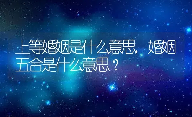 上等婚姻是什么意思,婚姻五合是什么意思？ | 养殖常见问题