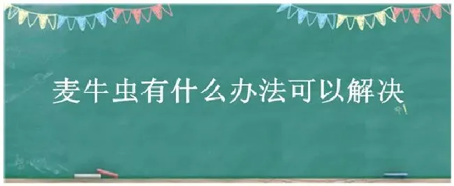 麦牛虫有什么办法可以解决 | 三农答疑