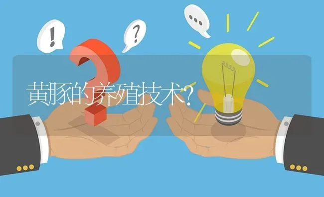 黄豚的养殖技术? | 养殖问题解答