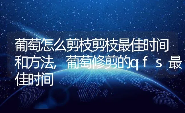 葡萄怎么剪枝剪枝最佳时间和方法,葡萄修剪的qfs最佳时间 | 养殖常见问题