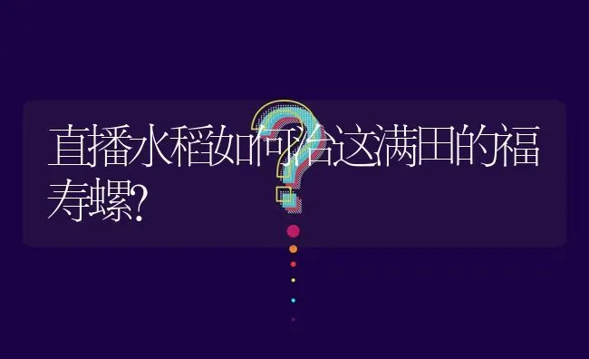 直播水稻如何治这满田的福寿螺? | 养殖问题解答