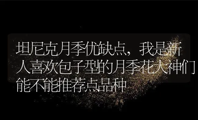 坦尼克月季优缺点,我是新人喜欢包子型的月季花大神们能不能推荐点品种 | 养殖常见问题