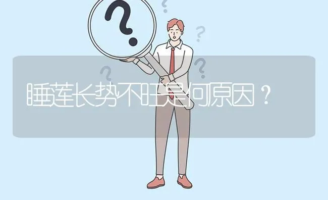 睡莲长势不旺是何原因? | 养殖问题解答