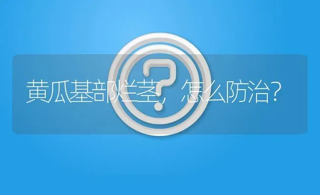 黄瓜基部烂茎,怎么防治? | 养殖问题解答