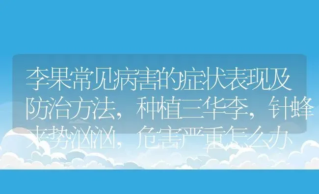 李果常见病害的症状表现及防治方法,种植三华李，针蜂来势汹汹，危害严重怎么办 | 养殖常见问题