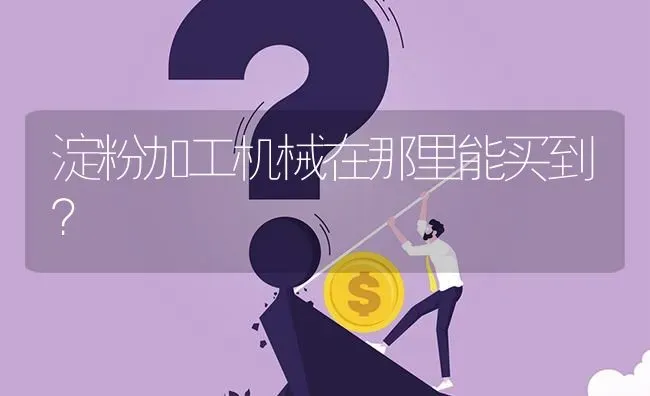 淀粉加工机械在那里能买到? | 养殖问题解答