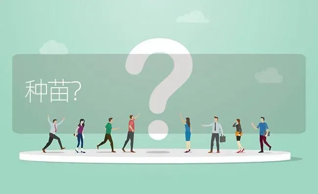 种苗? | 养殖问题解答