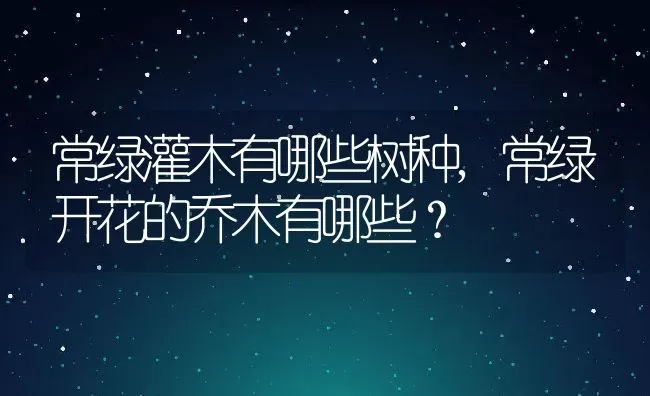 常绿灌木有哪些树种,常绿开花的乔木有哪些？ | 养殖常见问题