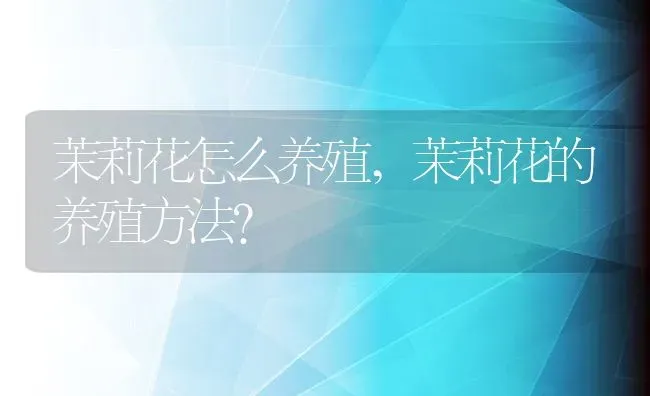 茉莉花怎么养殖,茉莉花的养殖方法？ | 养殖常见问题