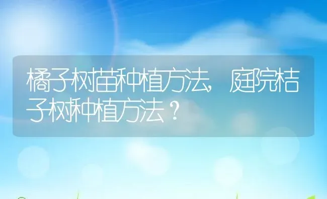 橘子树苗种植方法,庭院桔子树种植方法？ | 养殖常见问题