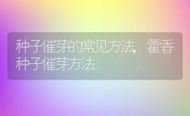 种子催芽的常见方法,藿香种子催芽方法 | 养殖常见问题