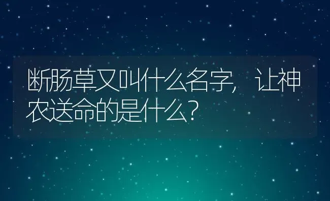 断肠草又叫什么名字,让神农送命的是什么？ | 养殖常见问题