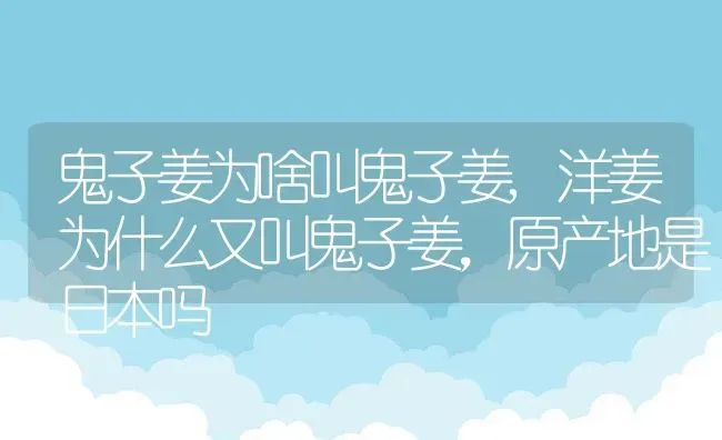 鬼子姜为啥叫鬼子姜,洋姜为什么又叫鬼子姜，原产地是日本吗 | 养殖常见问题