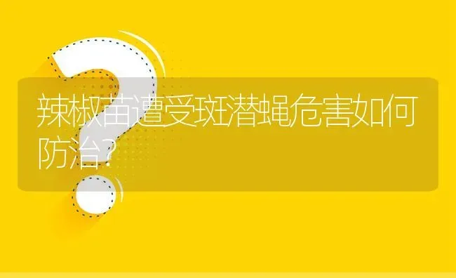 辣椒苗遭受斑潜蝇危害如何防治? | 养殖问题解答