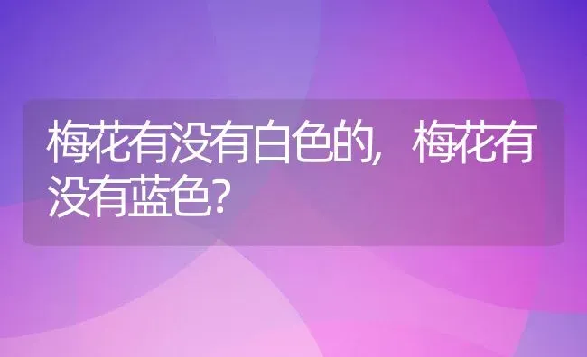 梅花有没有白色的,梅花有没有蓝色？ | 养殖常见问题