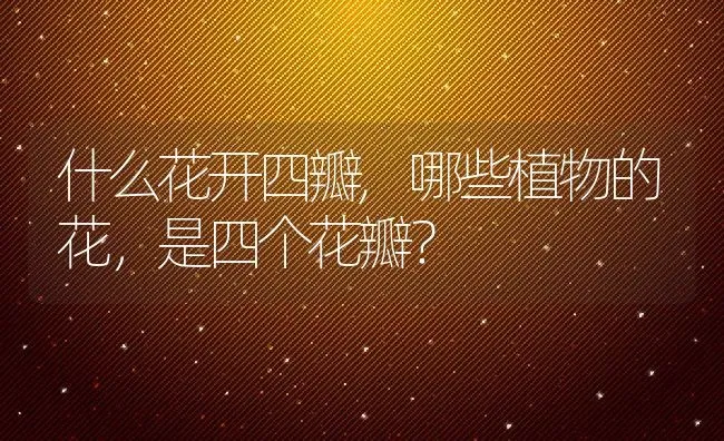 什么花开四瓣,哪些植物的花，是四个花瓣？ | 养殖常见问题