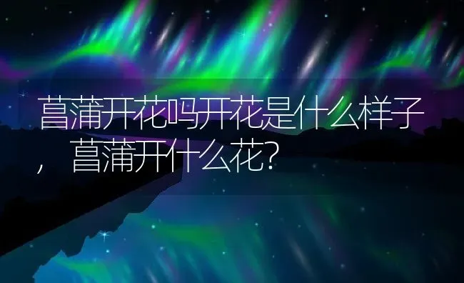 葵花的寓意象征,向日葵最常见十个字的寓意？ | 养殖常见问题