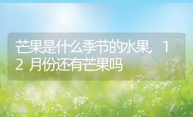 芒果是什么季节的水果,12月份还有芒果吗 | 养殖常见问题