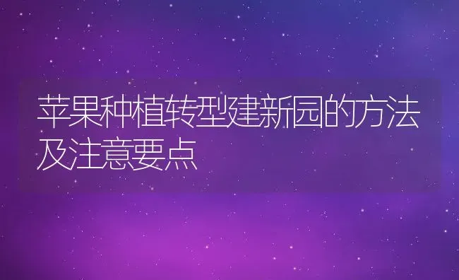 苹果种植转型建新园的方法及注意要点 | 养殖常见问题