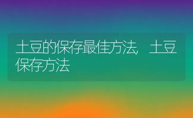 土豆的保存最佳方法,土豆保存方法 | 养殖常见问题