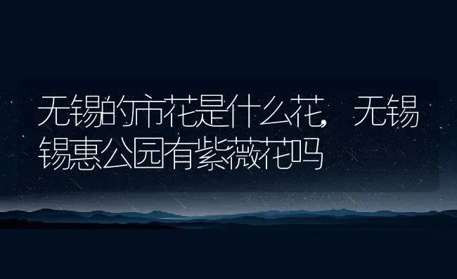 无锡的市花是什么花,无锡锡惠公园有紫薇花吗 | 养殖常见问题
