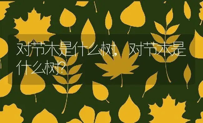 对节木是什么树,对节木是什么树？ | 养殖常见问题