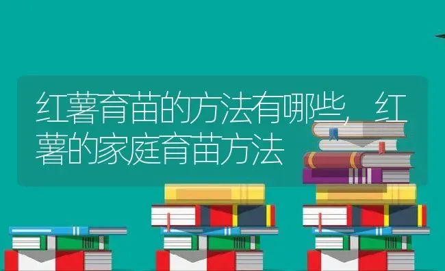 红薯育苗的方法有哪些,红薯的家庭育苗方法 | 养殖常见问题