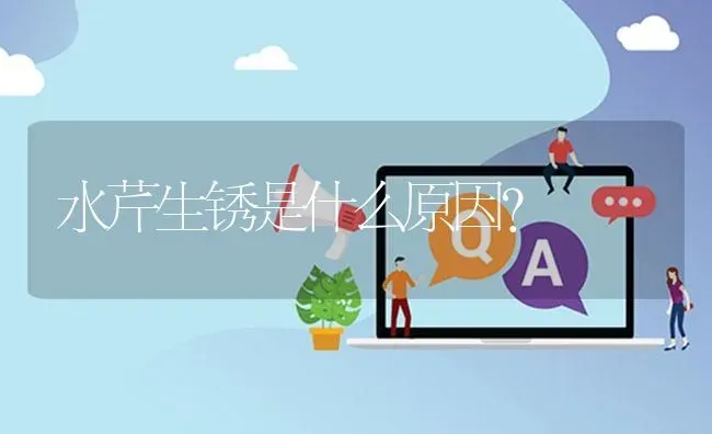 水芹生锈是什么原因? | 养殖问题解答