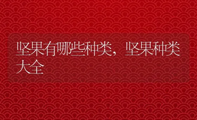 坚果有哪些种类,坚果种类大全 | 养殖常见问题