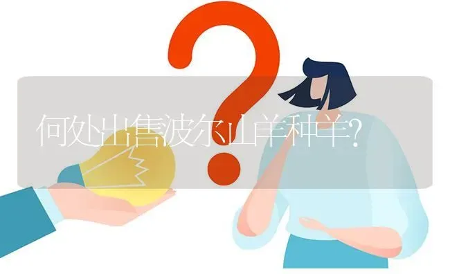 何处出售波尔山羊种羊? | 养殖问题解答