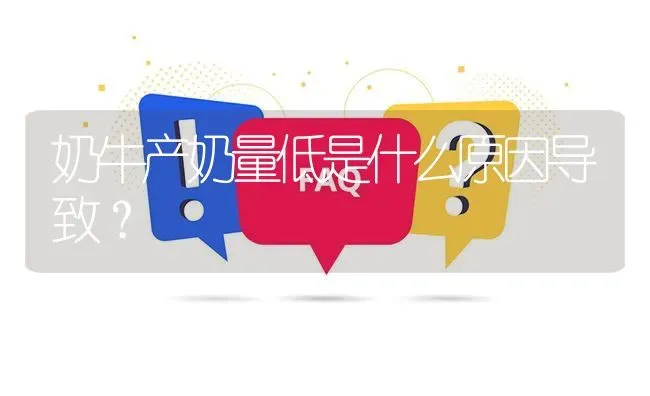 奶牛产奶量低是什么原因导致? | 养殖问题解答