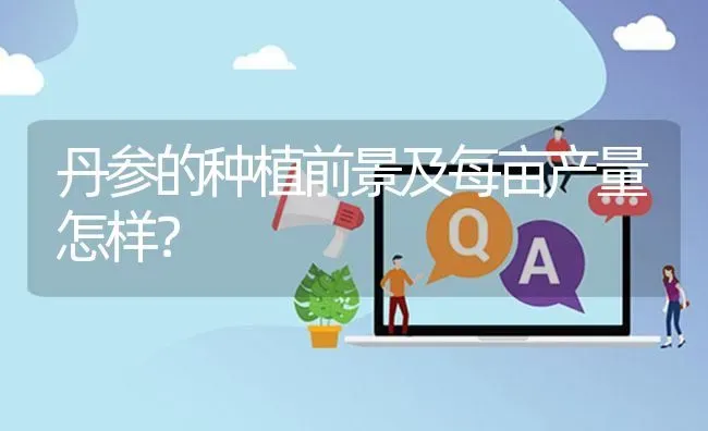 丹参的种植前景及每亩产量怎样? | 养殖问题解答