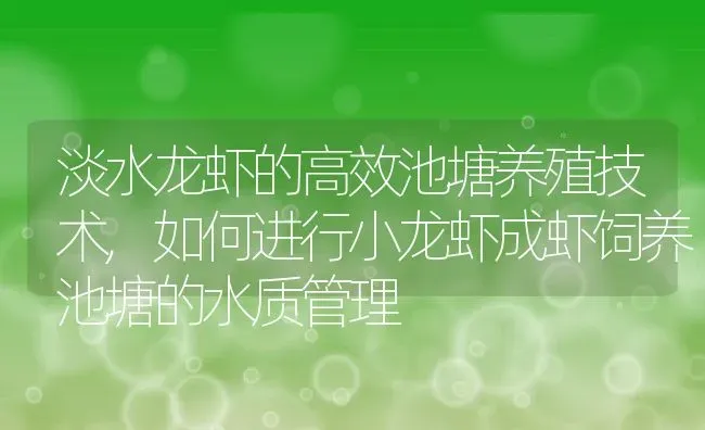 淡水龙虾的高效池塘养殖技术,如何进行小龙虾成虾饲养池塘的水质管理 | 养殖常见问题