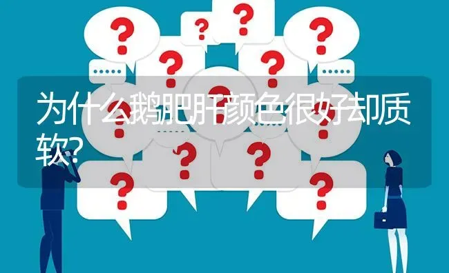 为什么鹅肥肝颜色很好却质软? | 养殖问题解答