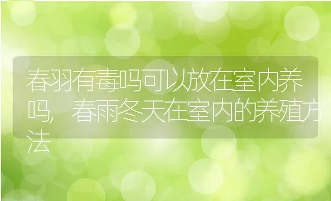春羽有毒吗可以放在室内养吗,春雨冬天在室内的养殖方法 | 养殖常见问题