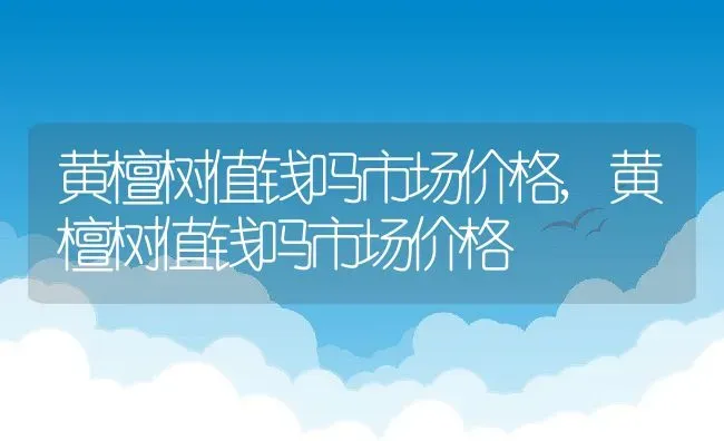 黄檀树值钱吗市场价格,黄檀树值钱吗市场价格 | 养殖常见问题