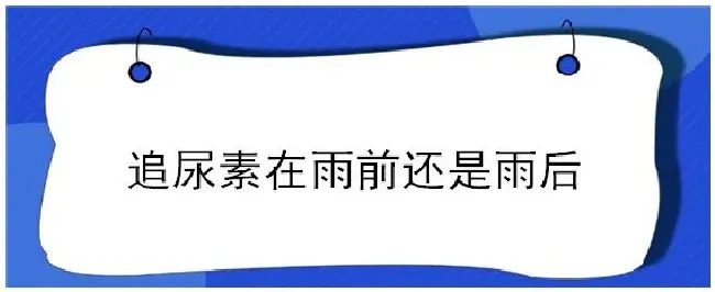 追尿素在雨前还是雨后 | 农业问题