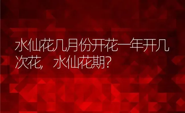 水仙花几月份开花一年开几次花,水仙花期？ | 养殖常见问题