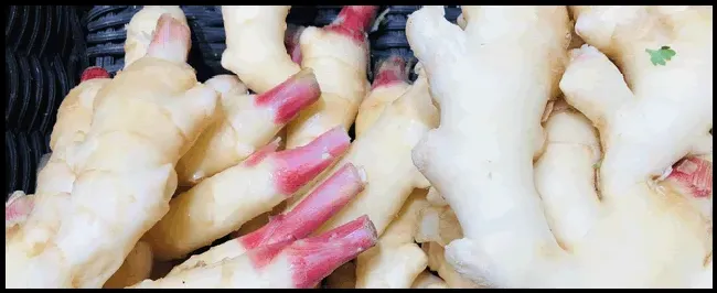 种姜一年一亩赚多少钱 | 生活常识
